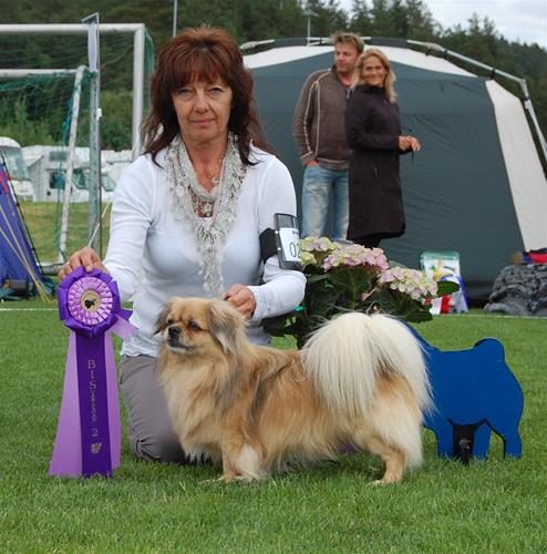 Utstilling Homme 13.07.2012 Asterix BIS 4 veteran