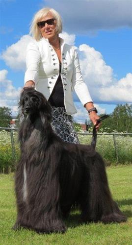 Gällivare 035 Gällivare 035