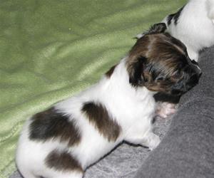 IMG_0019 IMG_0019