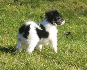 IMG_0052 IMG_0052