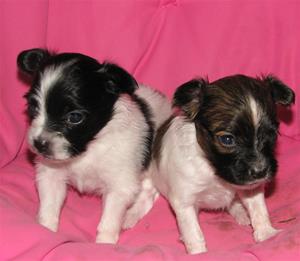 IMG_0025 IMG_0025
