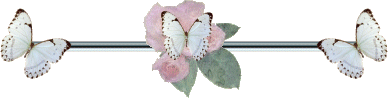 papillon_095 papillon_095