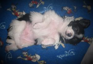 IMG_0001 IMG_0001