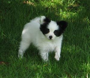 IMG_0590 IMG_0590