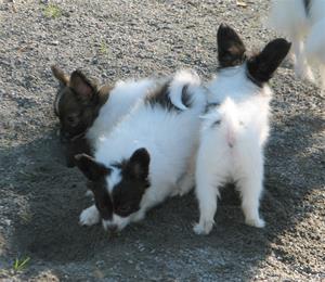 IMG_0006 IMG_0006