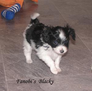 IMG_0077 IMG_0077