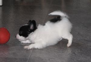 IMG_0010 IMG_0010