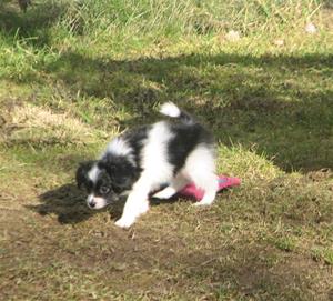 IMG_0044 IMG_0044