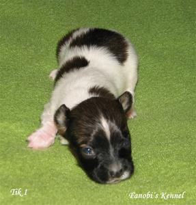 IMG_0016 IMG_0016