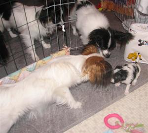 IMG_0082 IMG_0082