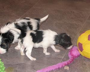 IMG_0132 IMG_0132