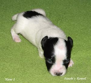 IMG_0007 IMG_0007