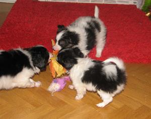 IMG_0024 IMG_0024