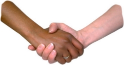 skaka-hand_20877660
