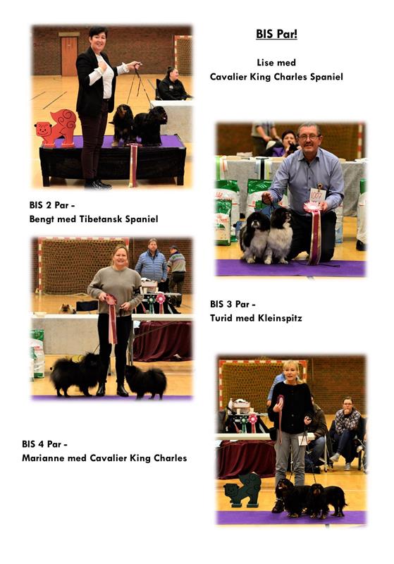 BIS Resultater Open Show 2022_32