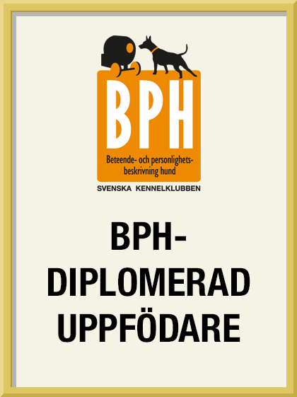 bph-diplomerad-uppfodare