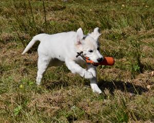 dagny-app2