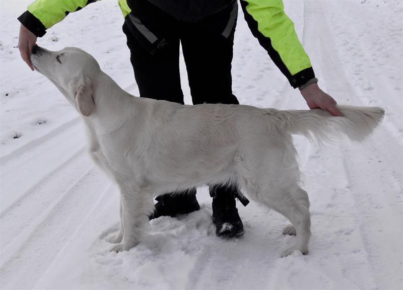 zillavinter23 zillavinter23
