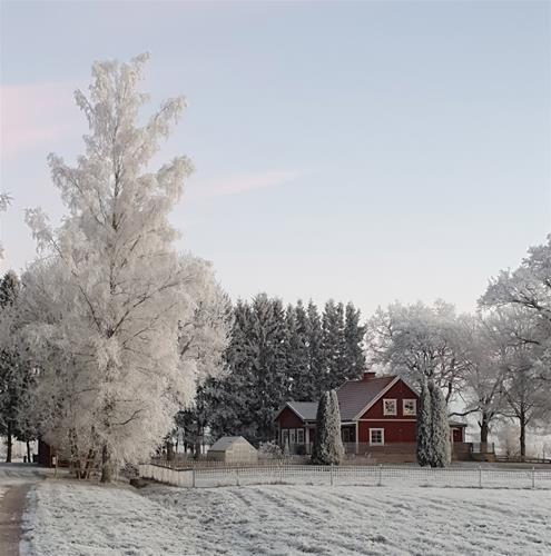huset-frost