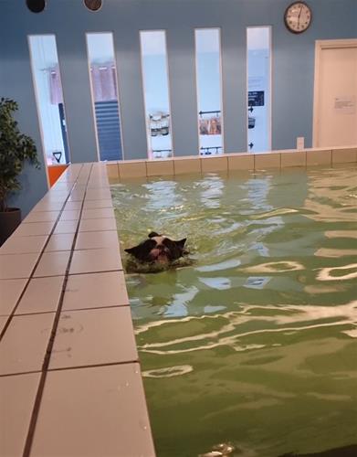 VideoCapture_20230428-103428