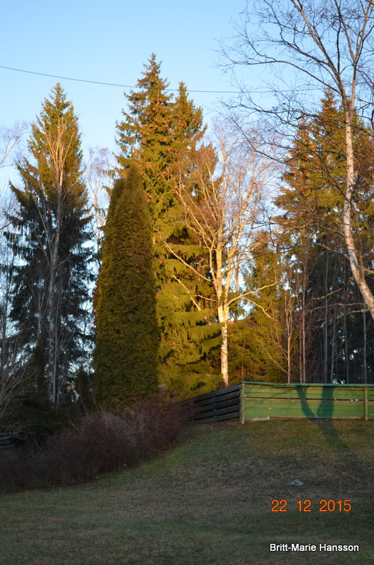 DSC_0017 DSC_0017