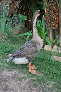 DSC_0296 DSC_0296
