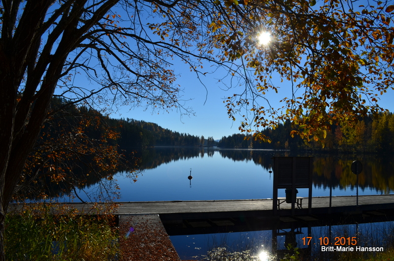 DSC_0313 DSC_0313