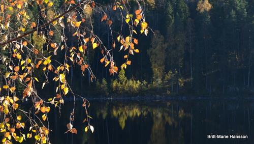 DSC_0310 DSC_0310