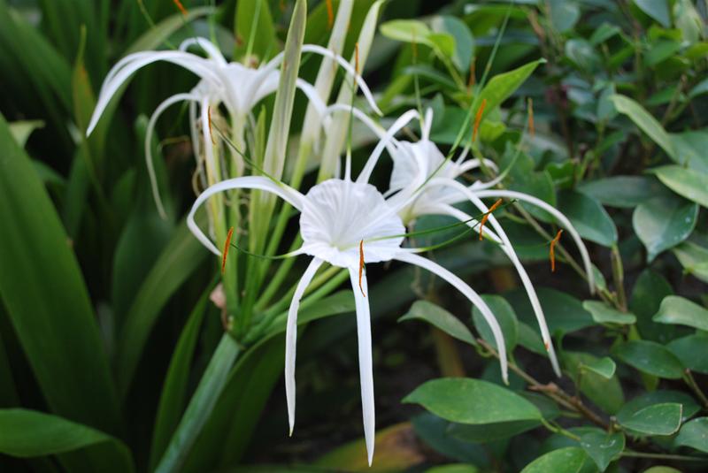 DSC_0020 DSC_0020
