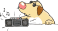 Hund m radio