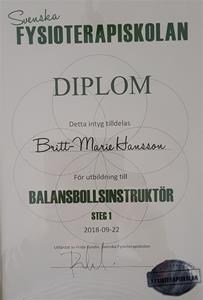 Diplom Balansboll
