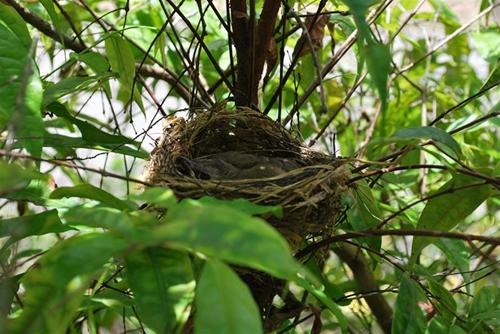DSC_0574 DSC_0574