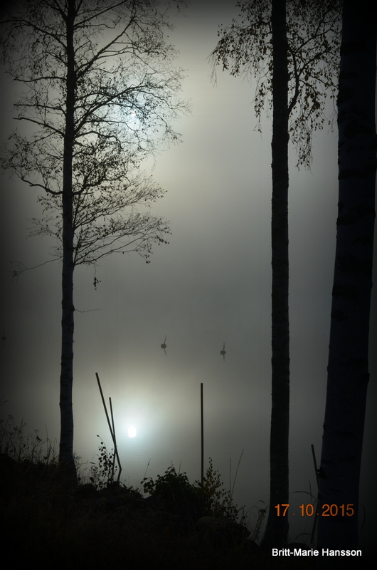 DSC_0280 DSC_0280