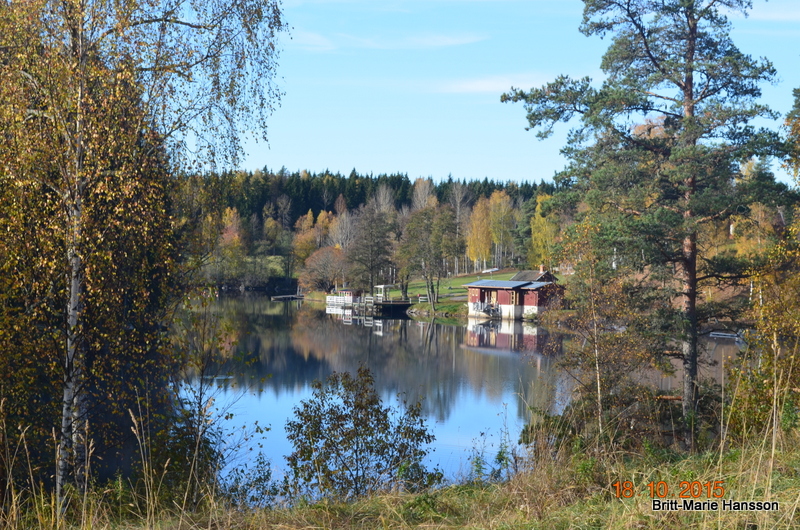 DSC_0353 DSC_0353