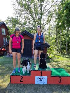 KM agility öppenklass medium