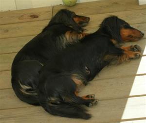 youkis mormor anna och mamma Athena i maj -08
