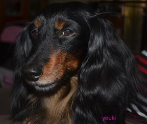 youki