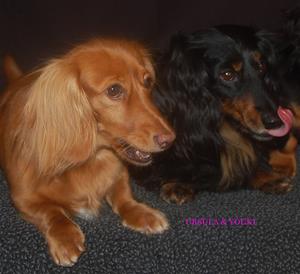 URSULA OCH YOUKI