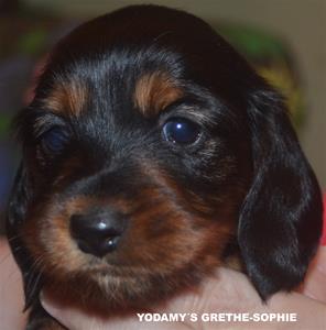 GRETHE-SOPHIE