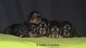 bkullen