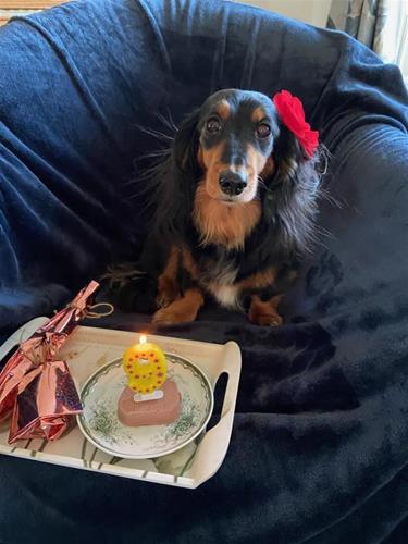 anzi 9 år