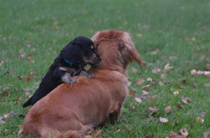 DSC_0313 DSC_0313