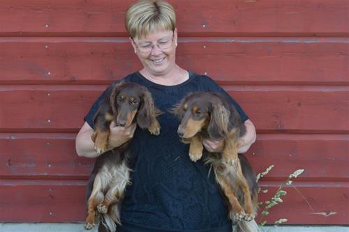 Orvar och Orangea med spårdomare Helena 17 juni 2023