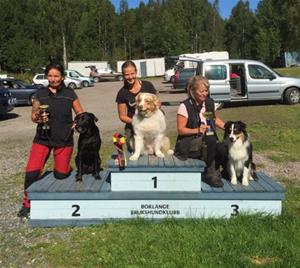 Borlänge 2015-08-29 Lydnadsklass 1