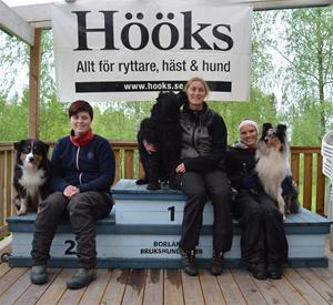 Rallylydnad nybörjare 20150531  B