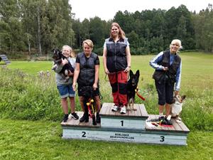 Lydnad startklass Borlänge 2020-08-09