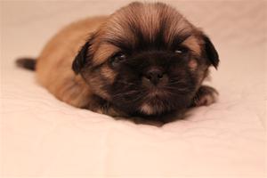 IMG_3340 IMG_3340