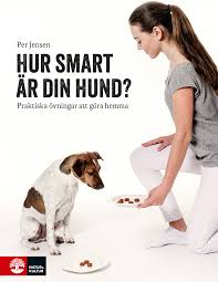 hur smart hur smart