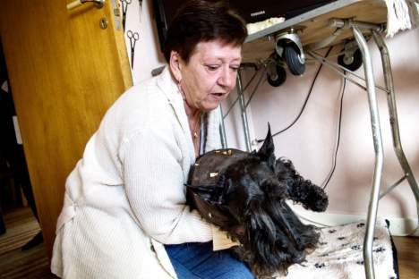 Sövd hund Sövd hund