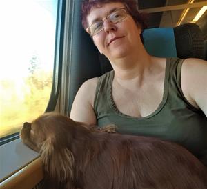 På tåget från Stockholm. På tåget från Stockholm.